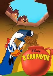 В скорлупе
