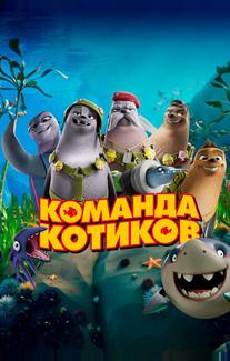 Команда котиков