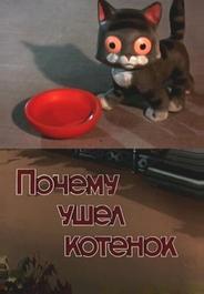 Почему ушел котенок
