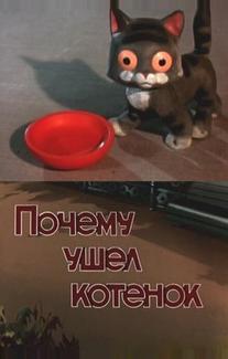 Почему ушел котенок