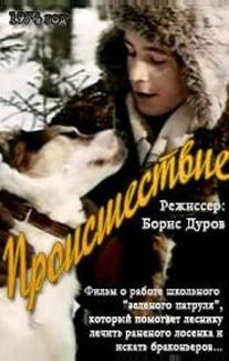 Происшествие
