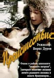 Происшествие