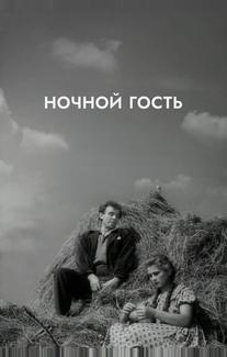 Ночной гость