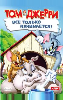 Кот играет в боулинг