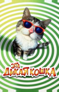 Эта дикая кошка