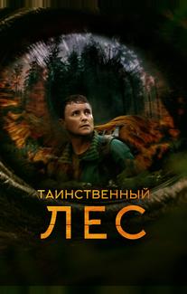 Таинственный лес