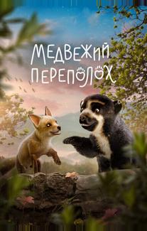 Медвежий переполох