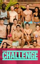 Реальный мир/Состязание «Дорожные правила»