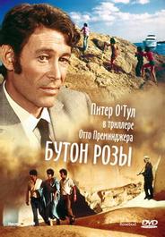 Бутон розы