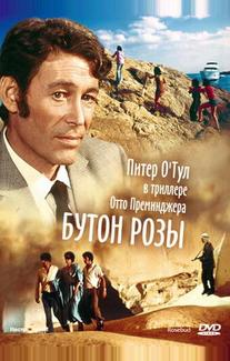 Бутон розы