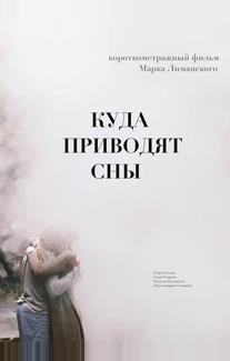 Куда приводят сны
