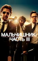 Мальчишник: Часть III