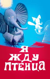 Я жду птенца