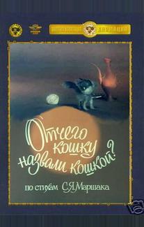 Отчего кошку назвали кошкой