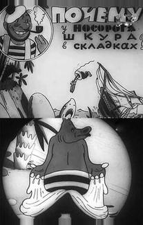 Почему у носорога шкура в складках