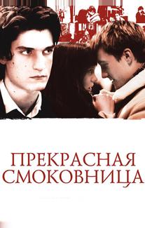 Прекрасная смоковница