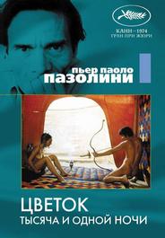 Цветок тысячи и одной ночи