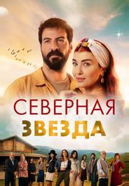 Полярная звезда