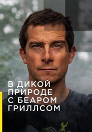 Звездное выживание с Беаром Гриллсом