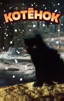 Котёнок