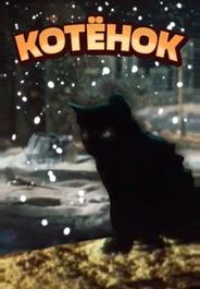 Котёнок