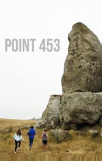 Мыс 453