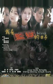 Чёрная кошка 3: В тюрьме