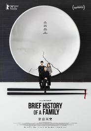 Краткая история семьи (2024)