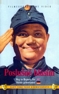 Швейк на фронте