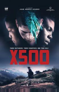 Икс 500
