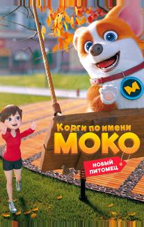 Корги по имени Моко. Новый питомец