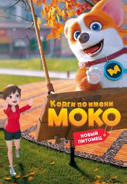 Корги по имени Моко. Новый питомец