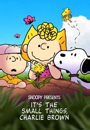 It's the Small Things, Charlie Brown