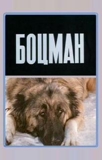 Боцман
