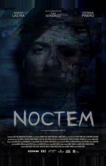 Ноктем