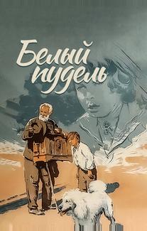 Белый пудель