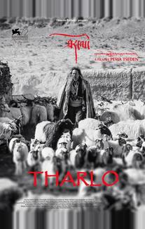 Тарло