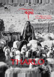 Тарло