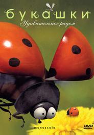 Букашки