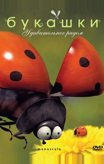 Букашки