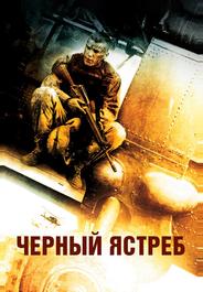 Черный ястреб