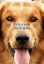Собачья жизнь