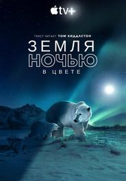 Земля ночью в цвете