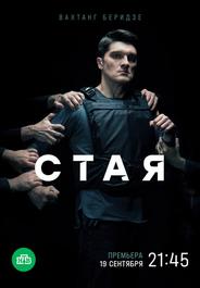 Стая
