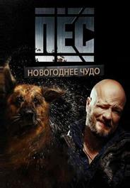 Пёс. Новогоднее чудо