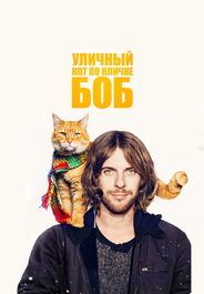 Уличный кот по кличке Боб