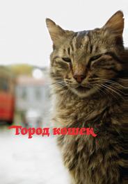 Кот
