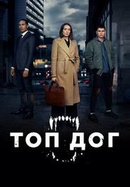 Топ дог