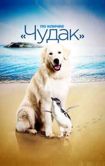 Чудак