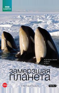 Замерзшая планета